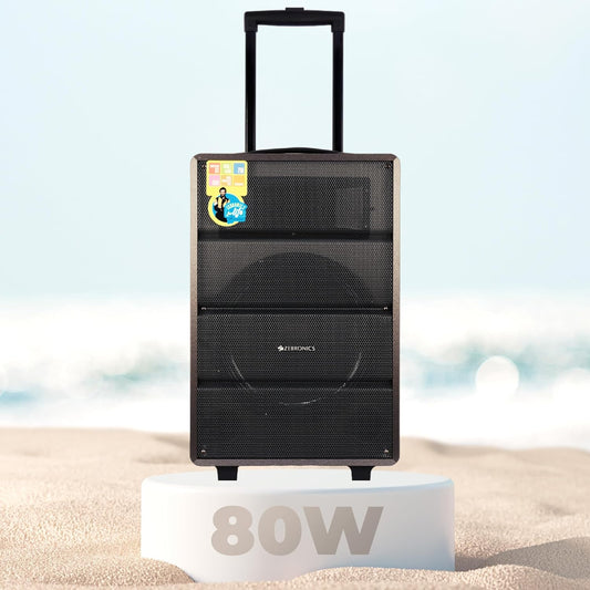 Zebronics Monster Pro 2X12L2
